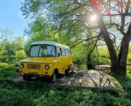 Woody Yellow в Hippy Hotel
