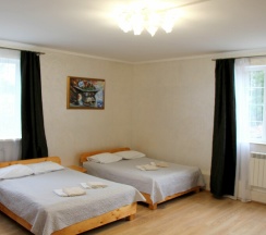 Эконом Семейный 6 местный в Диадема Шереметьево