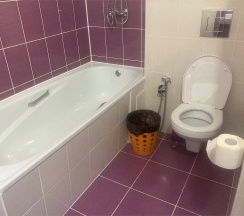 Делюкс 2-х местный без балкона в Диса