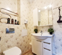 1-комнатные апартаменты студия с 1 двуспальной кроватью в Апартаменты Новосибирска