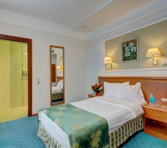 Стандарт одноместный в Альянс Бородино