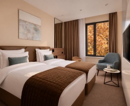 СТАНДАРТ с двумя кроватями в Palmira Garden Hotel & SPA