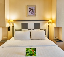 2-местный номер стандарт в Гранд мандарин