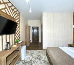 Стандартный двухместный номер в Снега