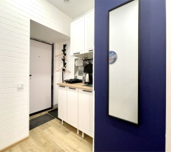 Комфортные апартаменты-студио (Метро Площадь Восстания/Александра Невского, 10 минут пешком) в Rauktis apartments