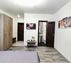 Двухместный номер Standard с балконом двуспальная кровать в Camelia