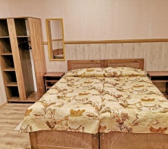 Стандарт в Спутник