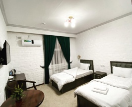 Двухместный номер Standard 2 отдельные кровати в Almaz Plaza Hotel