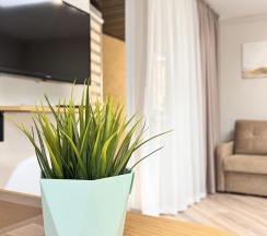 1-комнатные апартаменты студия в Солнце Тургенева