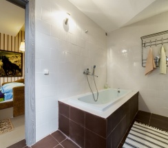 Двухместный с ванной в Родина