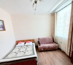 Номер эконом с 1 двуспальной кроватью в Маргобай