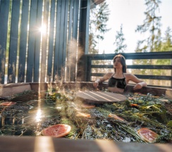 Forest Le Petit BBQ с купелью в Les Village