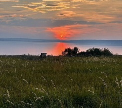 Дом в Вдохновись