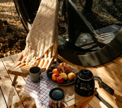 Дом в Дворяновка