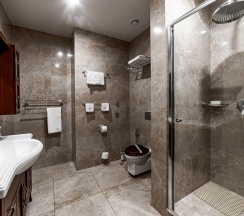 Комфорт улучшенный в Hotel Grand