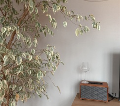 Апартаменты "Фриды Кало" на Теплосерной 21 в Лайм