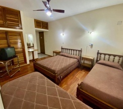 Трёхместный номер Standard в Hotel Villa Inés Mendoza