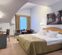 Двухместный полулюкс (двуспальная кровать) в Old Estate Hotel&SPA