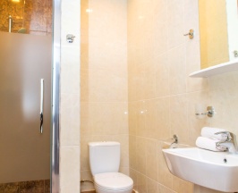 Стандартный двухместный номер с 2 отдельными кроватями в Кароза