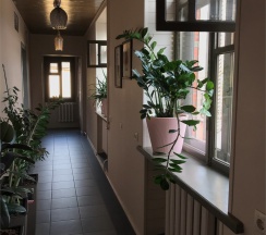 Апартаменты "Фриды Кало" на Теплосерной 21 в Лайм