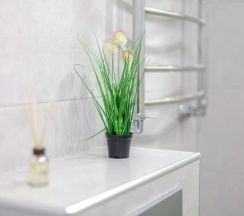 Апартаменты студия в RentPlaza