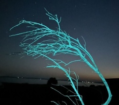 Дом в Вдохновись