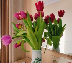 5-ти местный номер Студия с мини-кухней в Центральная