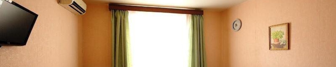 1-комнатный номер стандарт с 1 двуспальной кроватью в Гостиница на Бунина