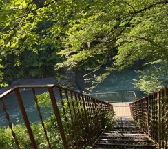 Однокомнатный люкс с балконом в Black Rock Garden