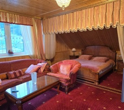 1-комнатная комната люкс в Golden House