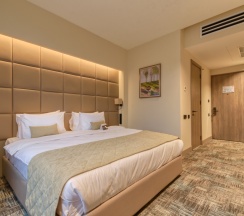 Двухместный номер Superior двуспальная кровать в Hayasa Hotel Yerevan