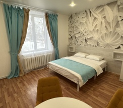 1-комнатные апартаменты студия с 1 двуспальной кроватью в Баринн