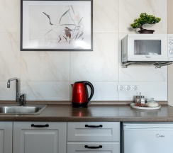 Квартира в Апартаменты на 9.3 Rose Studio ул. Гаврилова, 4