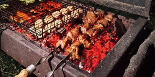 Шатрище: Коттедж LesDankin