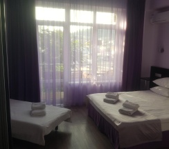 Номер полулюкс с 1 двуспальной кроватью в Триумф