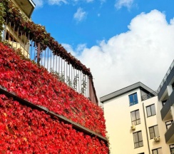 Студия c 1 комнатой в Море