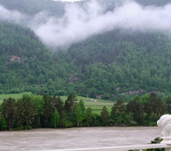 Комфорт+ Зеленый номер в Привет, Чемал!