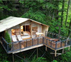 Сафари в Дзен