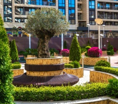 Апартаменты студия в Sokol apartments