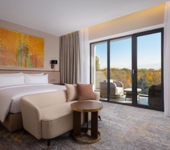 Двухместный номер Deluxe с видом на горы двуспальная кровать в Swissotel Wellness Resort Alatau Almaty