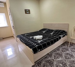 Стандартный номер с двуспальной кроватью в Визит