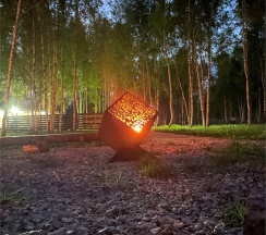 Мимоза в Шепот