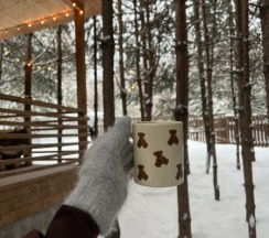 Просторная дача  с 2мя раздельными спальнями с панорамными окнами и сибирским банным чаном" в Дача на горе-море