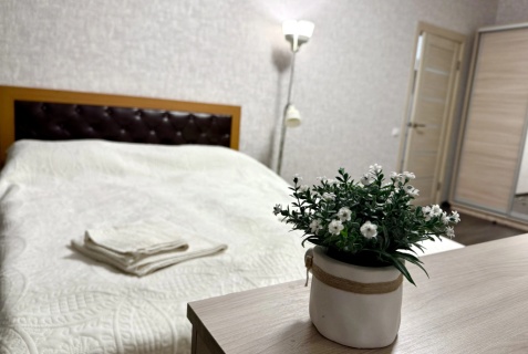 Псков: Апартаменты Квартира Pskov Design Apartments Юности