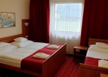 Трёхместный номер Standard в Diana Club Hotel