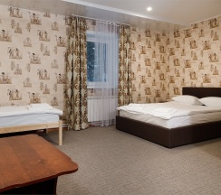 Стандарт в Олимп