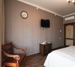 Standard Premium Business (Double) в Spatium wellness center