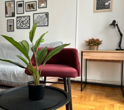 Квартира в Апартаменты на Ленина 5В
