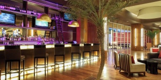 Агуаскалиентес: Отель Aguascalientes Marriott Hotel