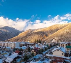 Family Luxury в Vertex